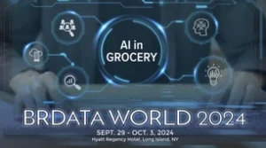 Brdata logo